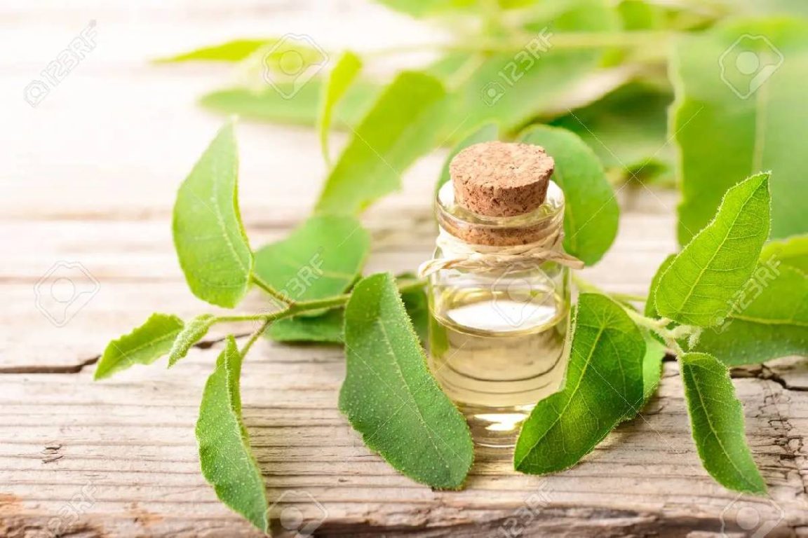 Eucalyptus skin care