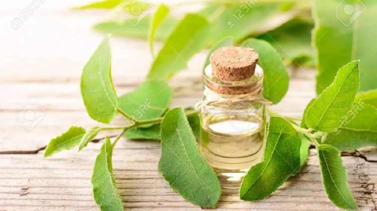 Eucalyptus skin care