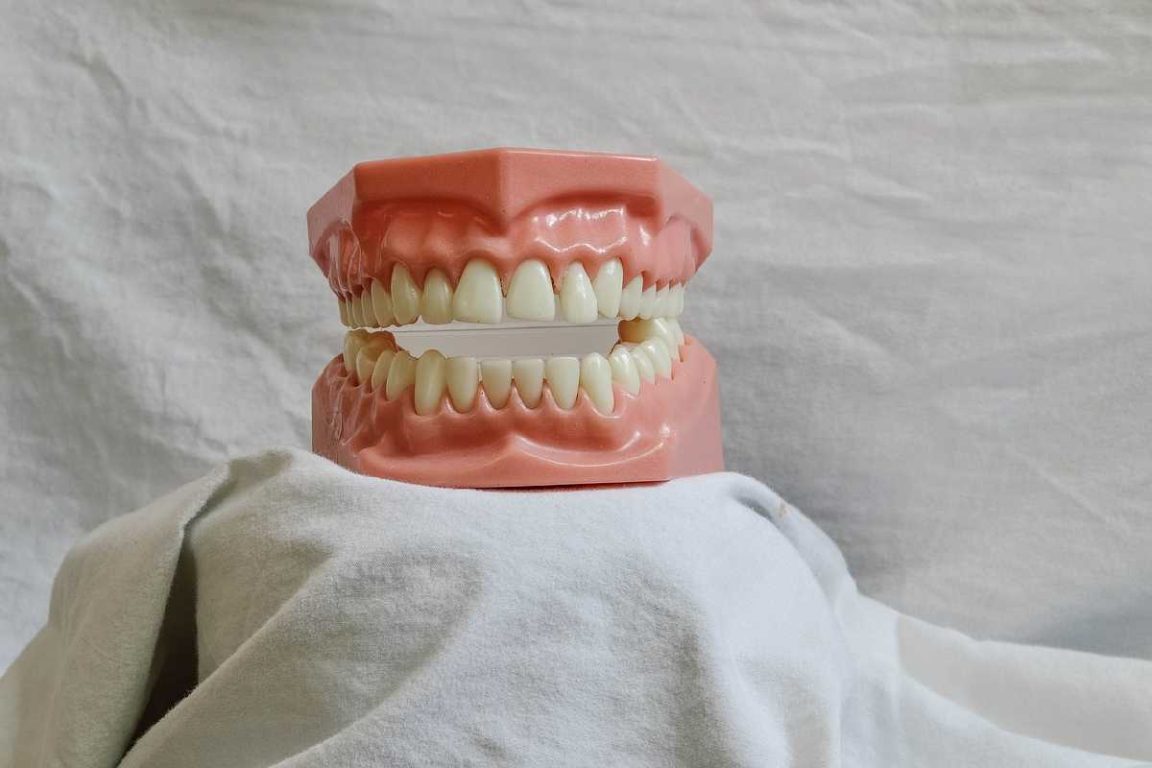 Nerovet AI Dental_ The Smart Tool That Changes Pets Teeth