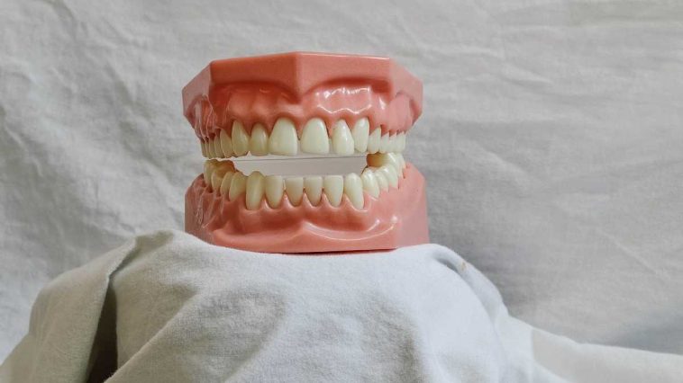 Nerovet AI Dental_ The Smart Tool That Changes Pets Teeth