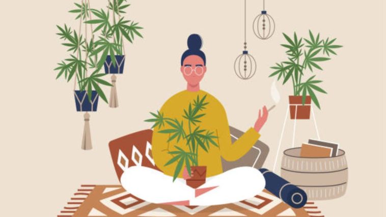 cannabis & mindfulness pairing mmj