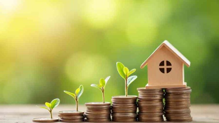 sustainable living on a budget