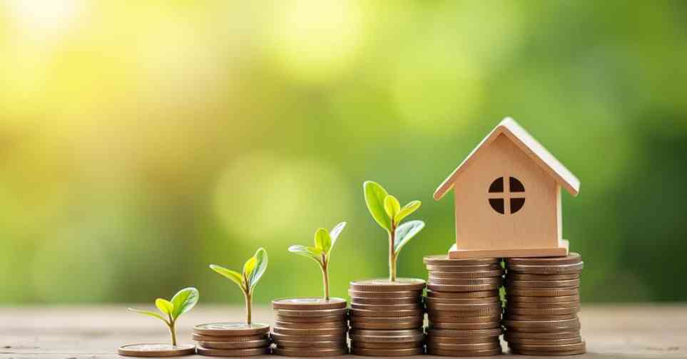 sustainable living on a budget